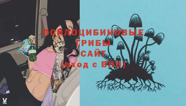 трава Тавда