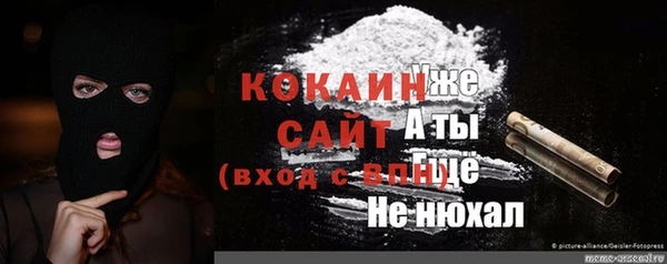 трава Тавда