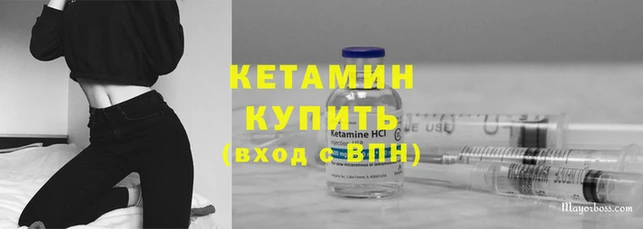 трава Тавда