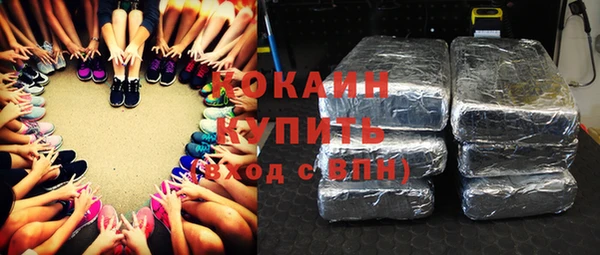 трава Тавда