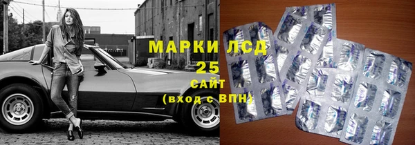 трава Тавда