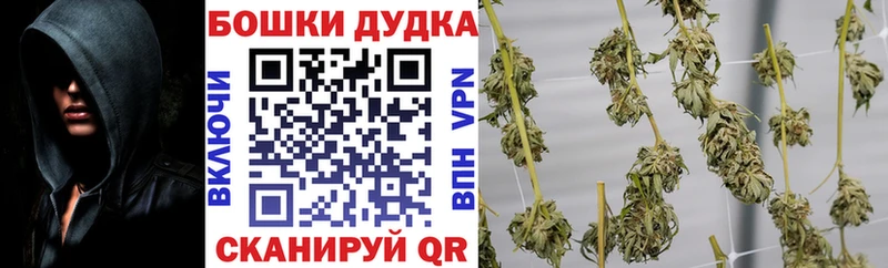 Конопля Bruce Banner  Купить где  Ивдель 